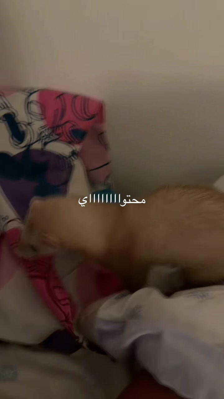 @Emma 😺