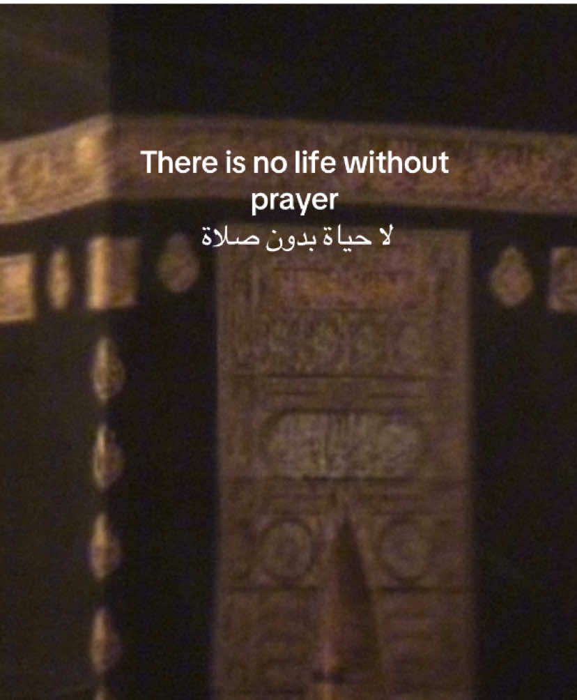 @عائشة
