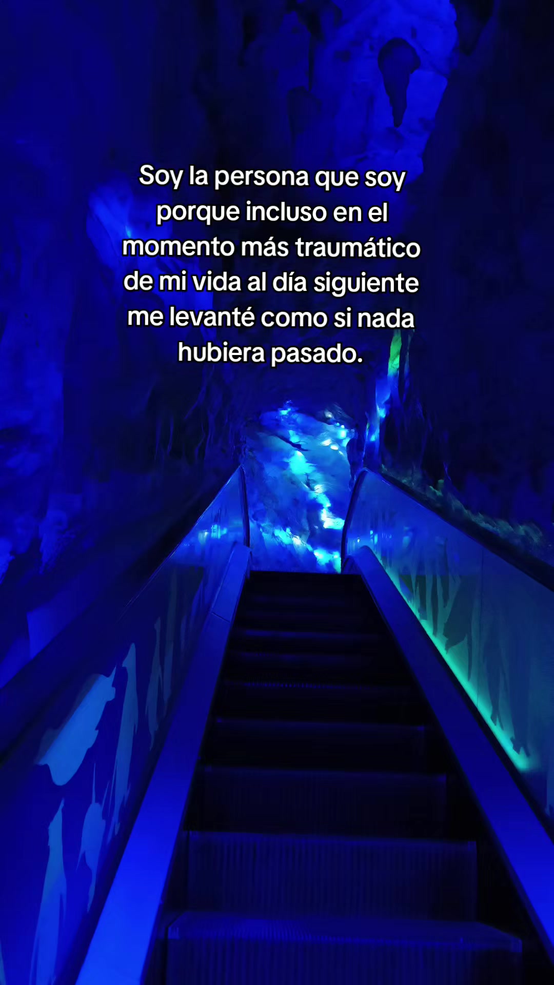 @Zuu Cardona