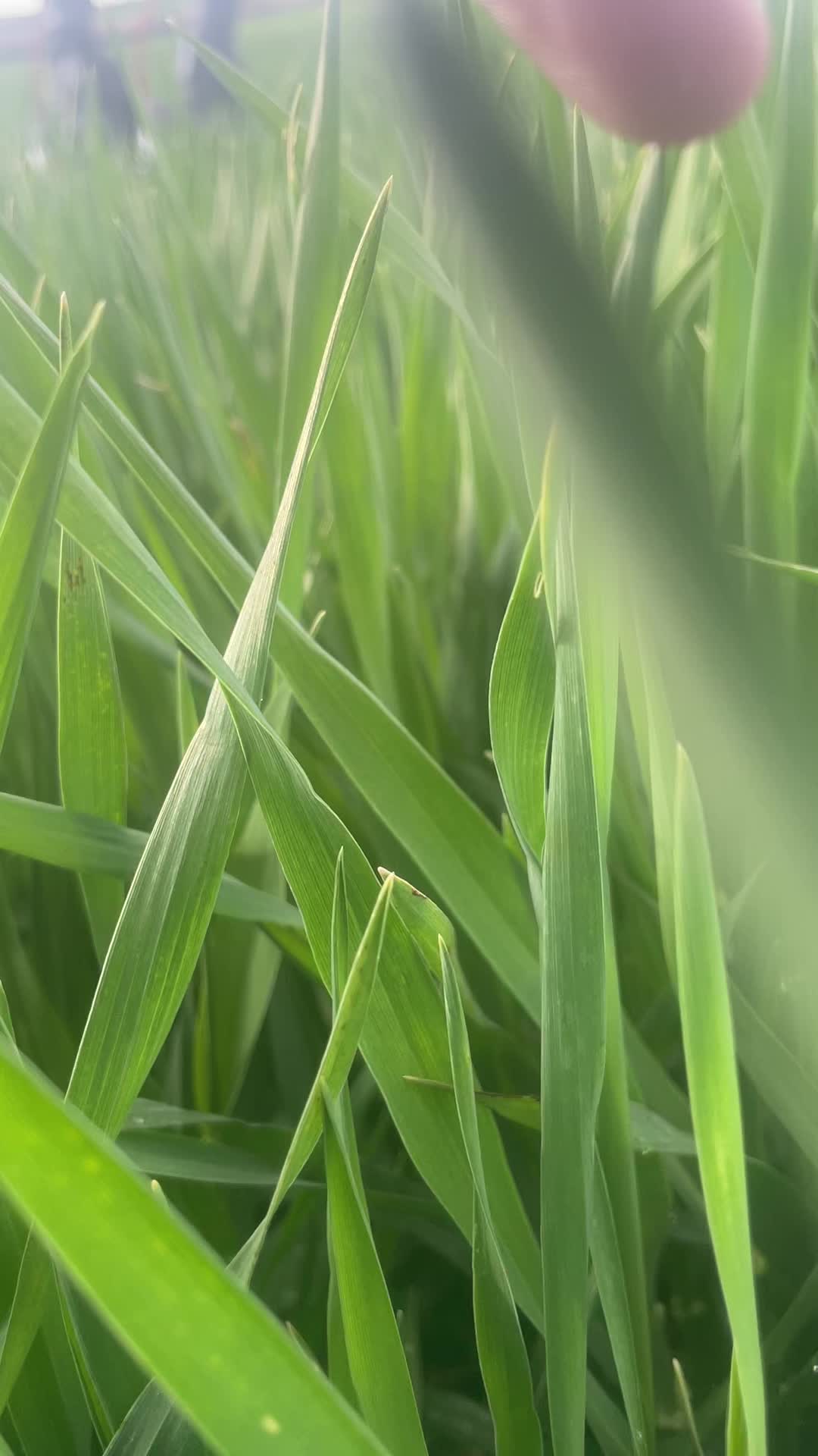 @Mtb.Ivo