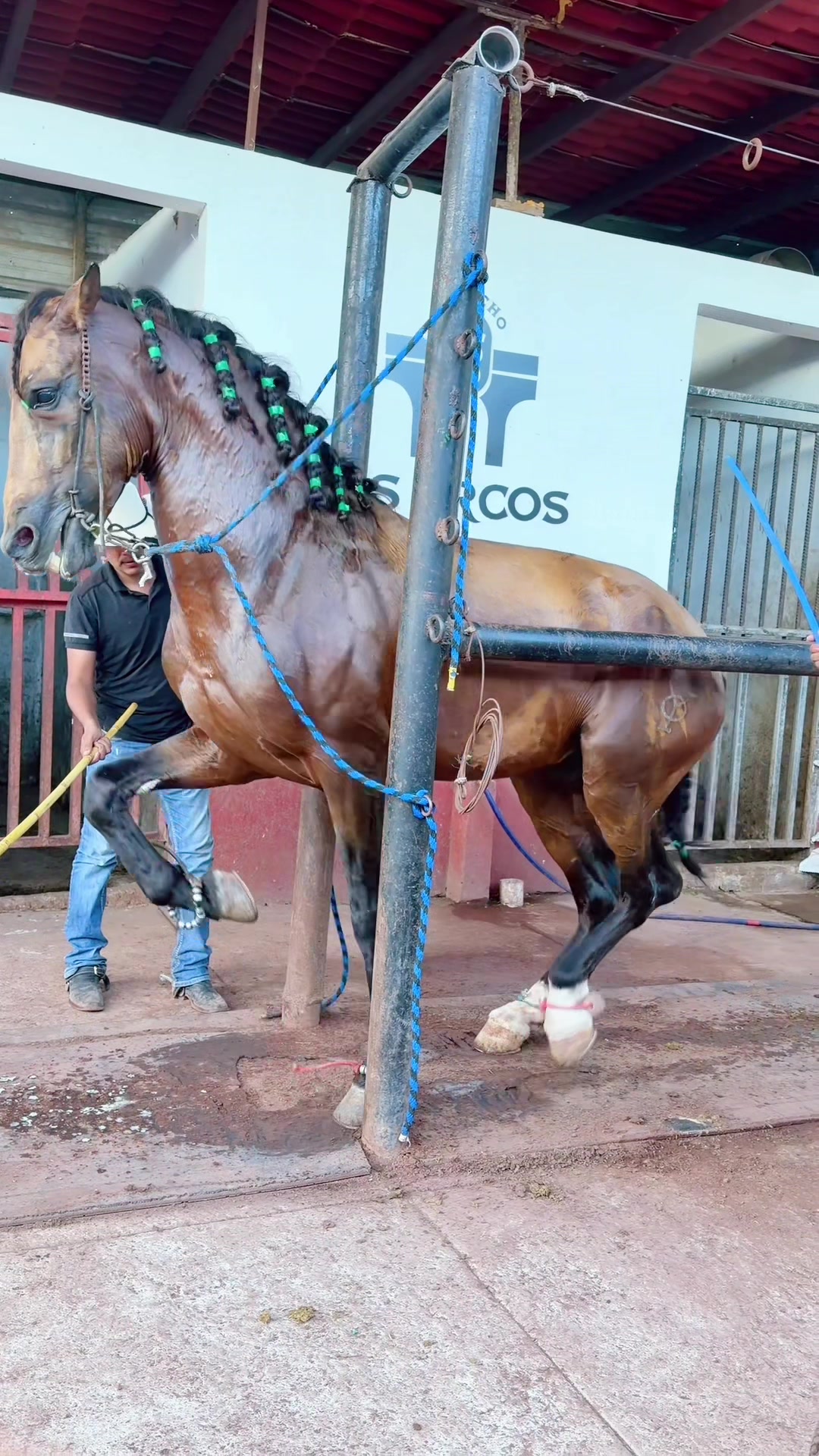 @Rancho los Arcos