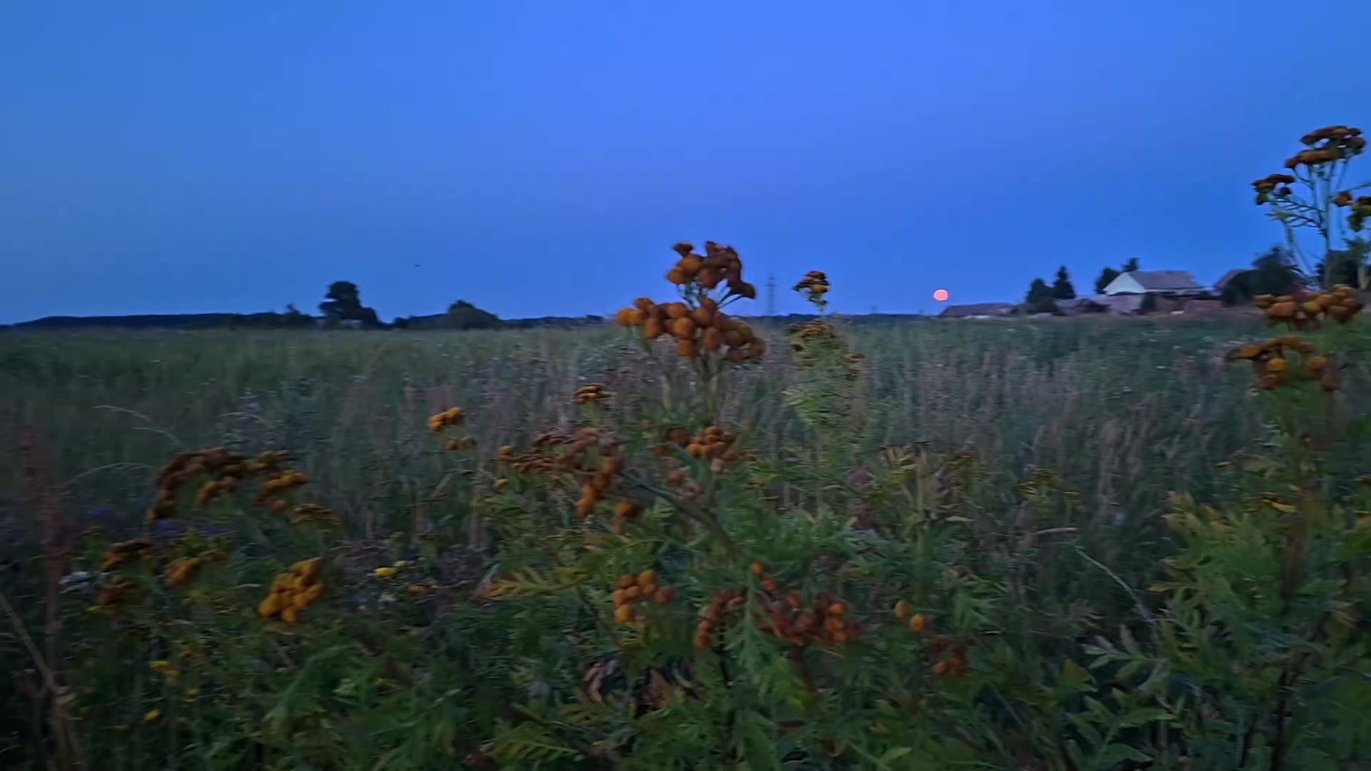 @𝘄𝗲𝗿𝘂𝗹𝗮𝘀𝗲𝗻