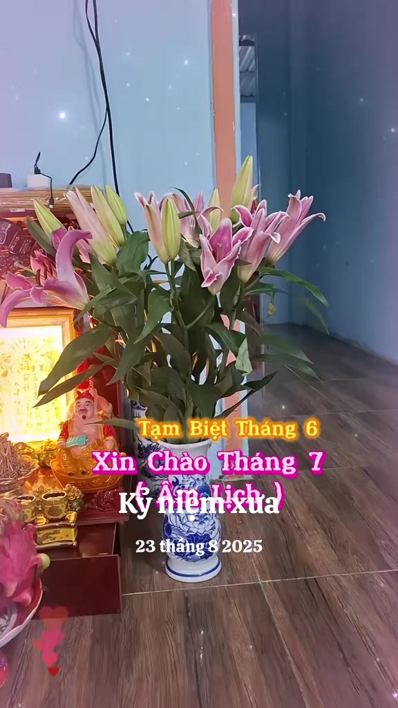 @nguyễn dung