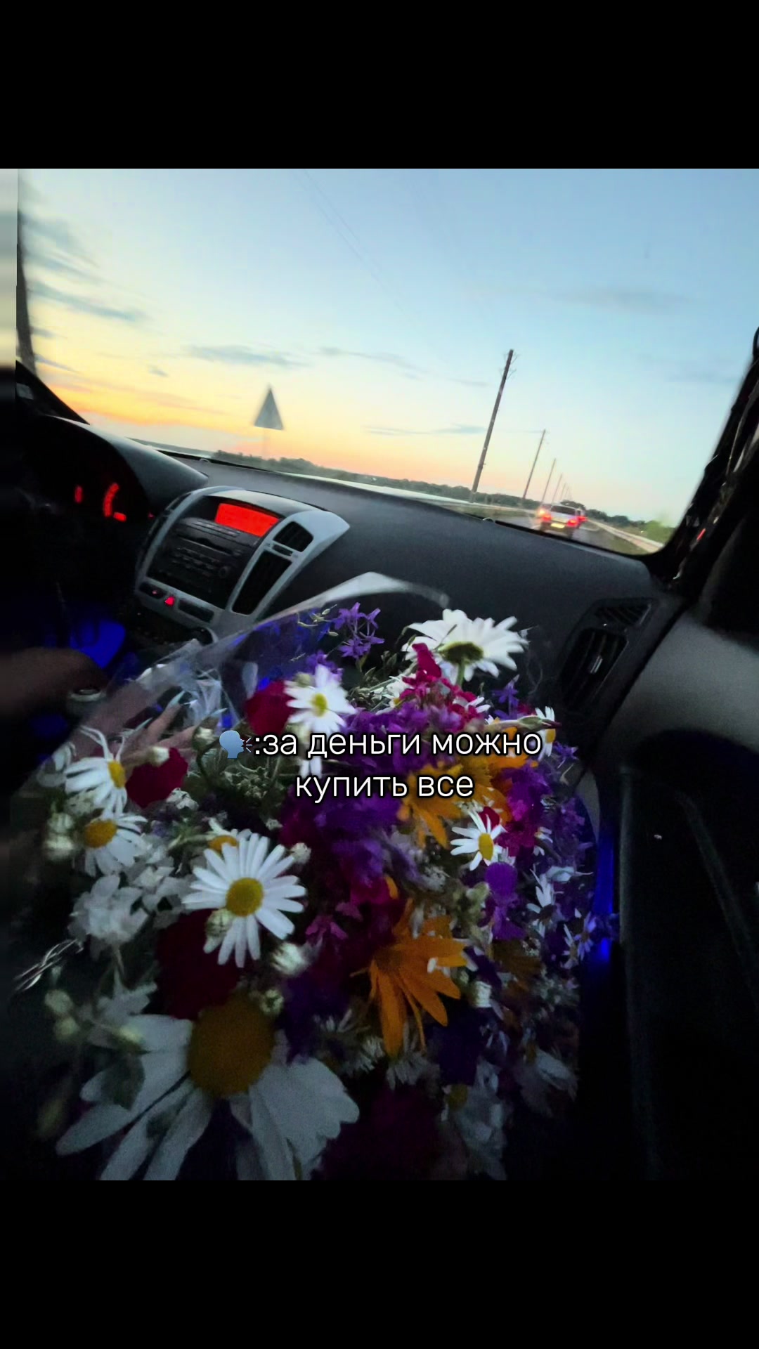 @vladimirovna.01.09