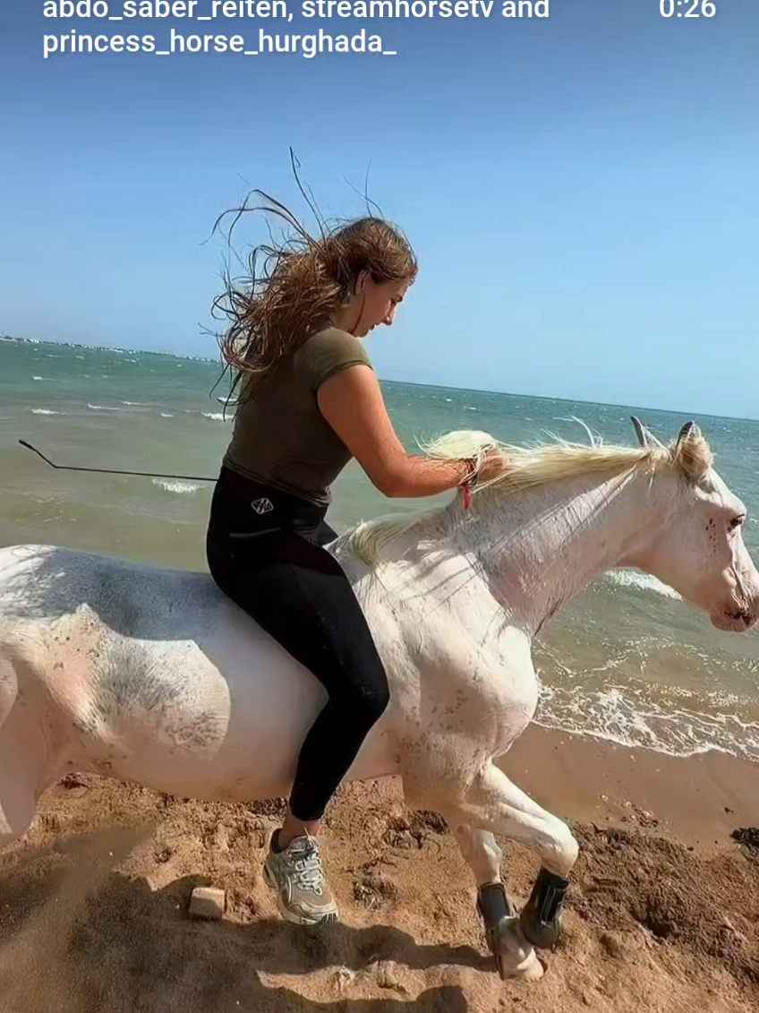 @streamhorse