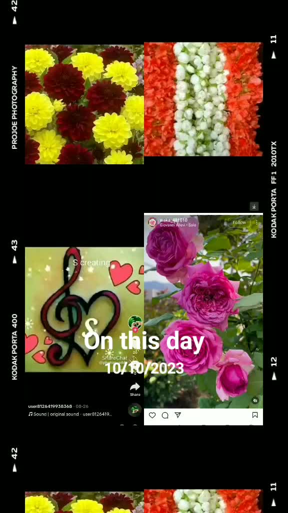 @🦋🌻🦋.....💋S❤S💋.....🦋🌻🦋