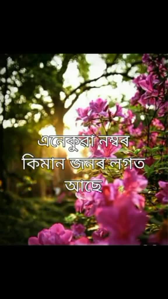 @riya nath