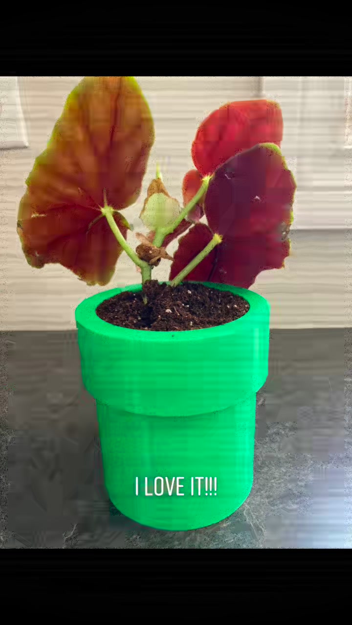 @Anita Fioroni