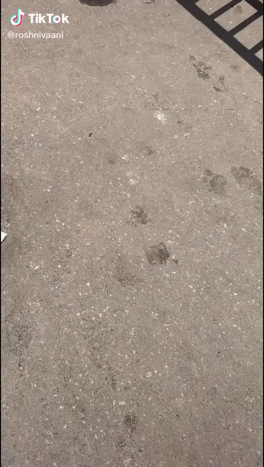 @sushanta 143