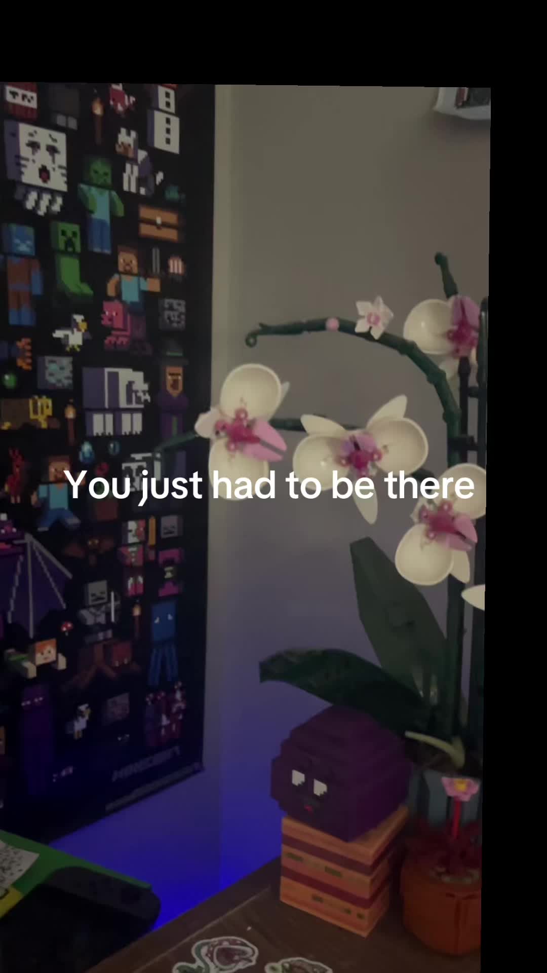 @datboiANTS