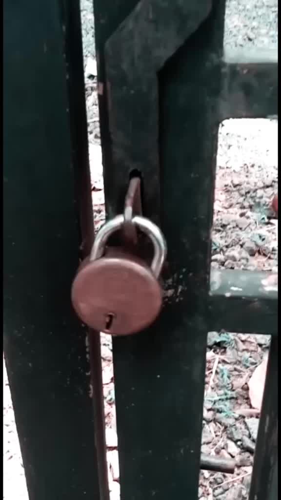 @Akhil A Kumar