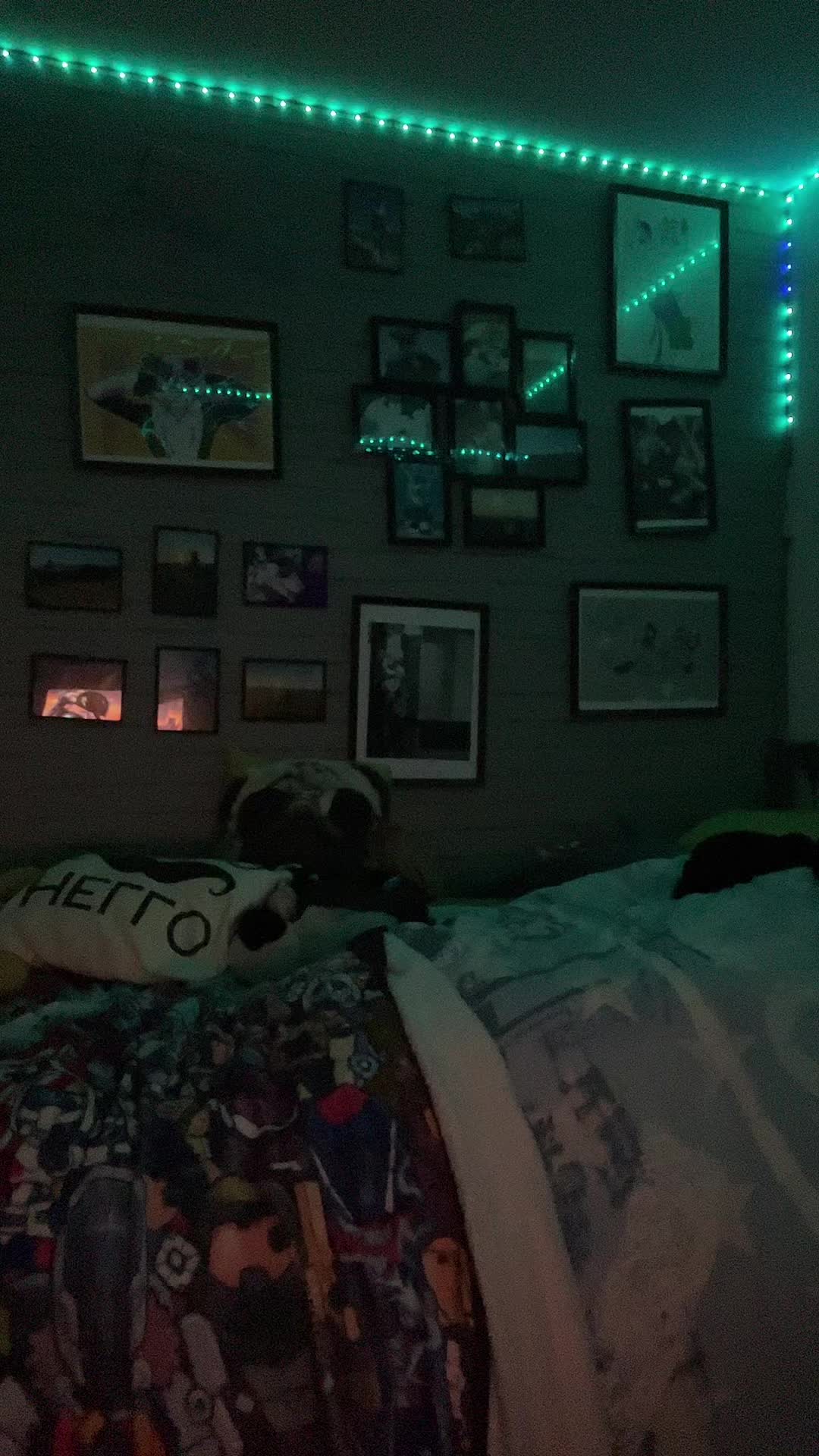 @StripeDaFox