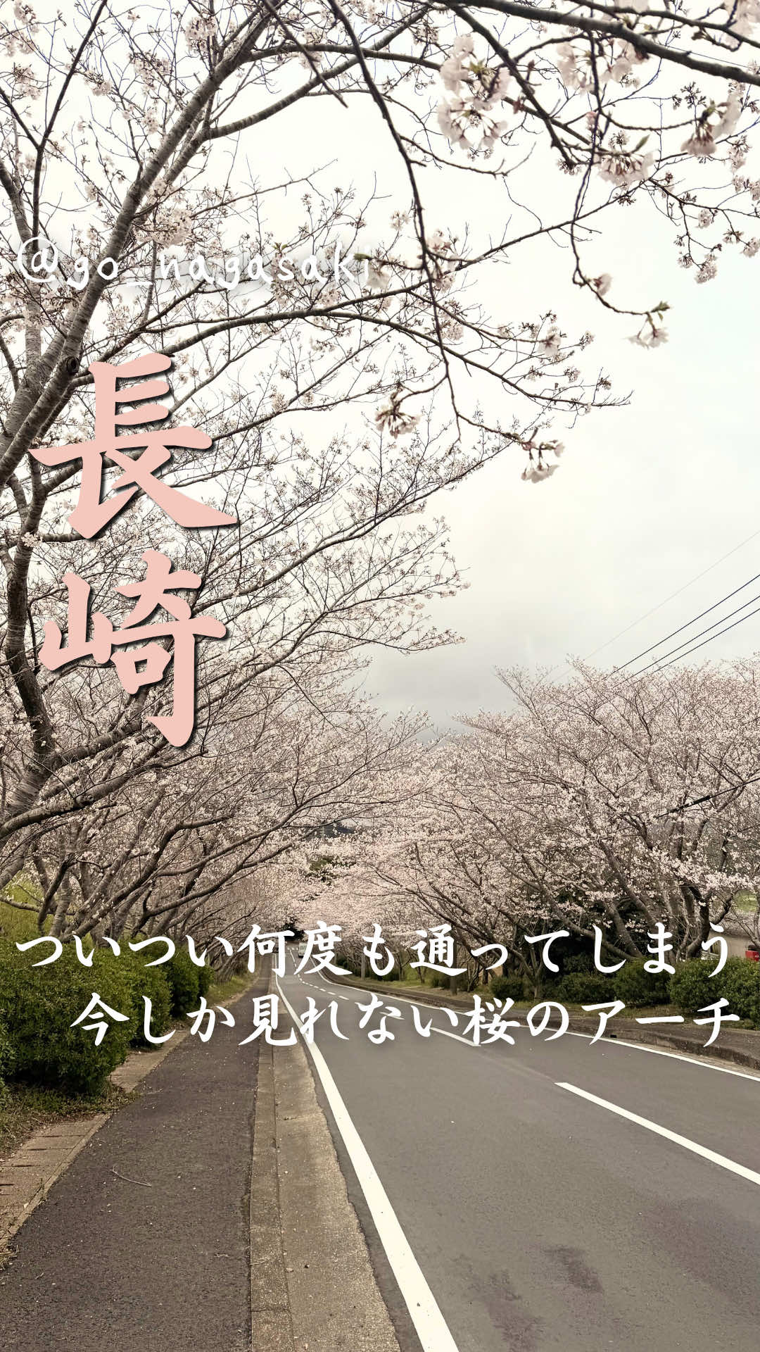 @やどかり