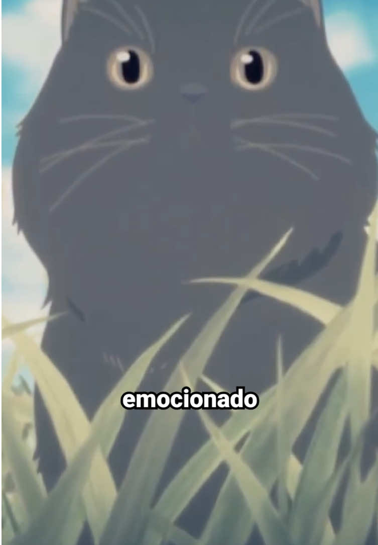 @Lucas Franco