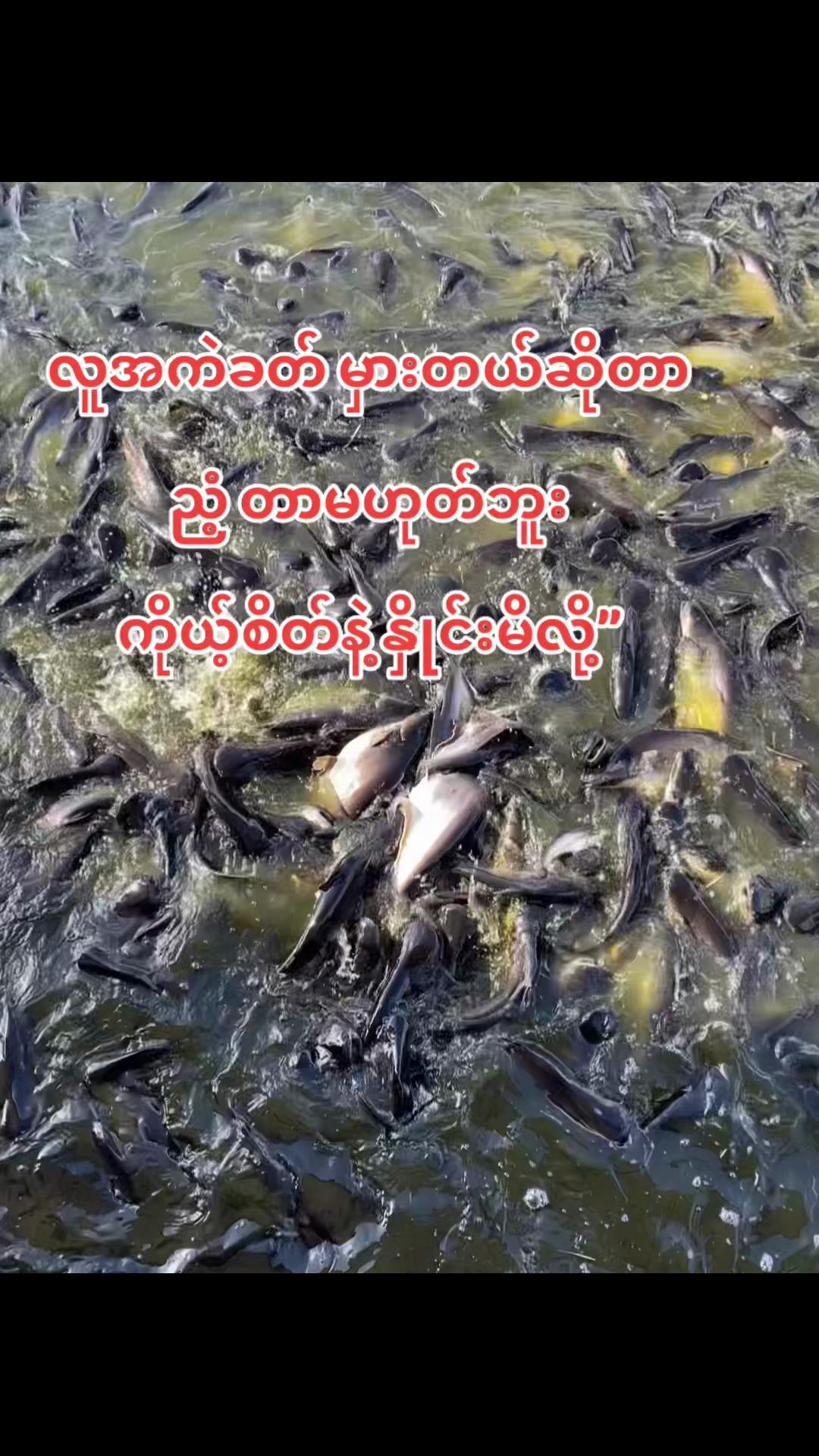 @đ á´´âď¸ đá
ááąá
