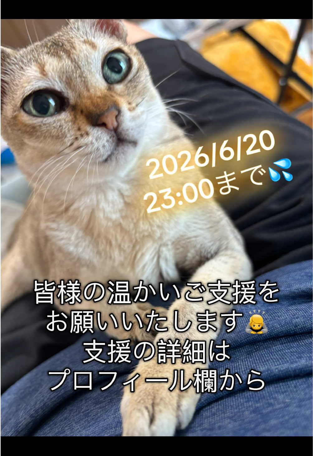 @Singapura_ran