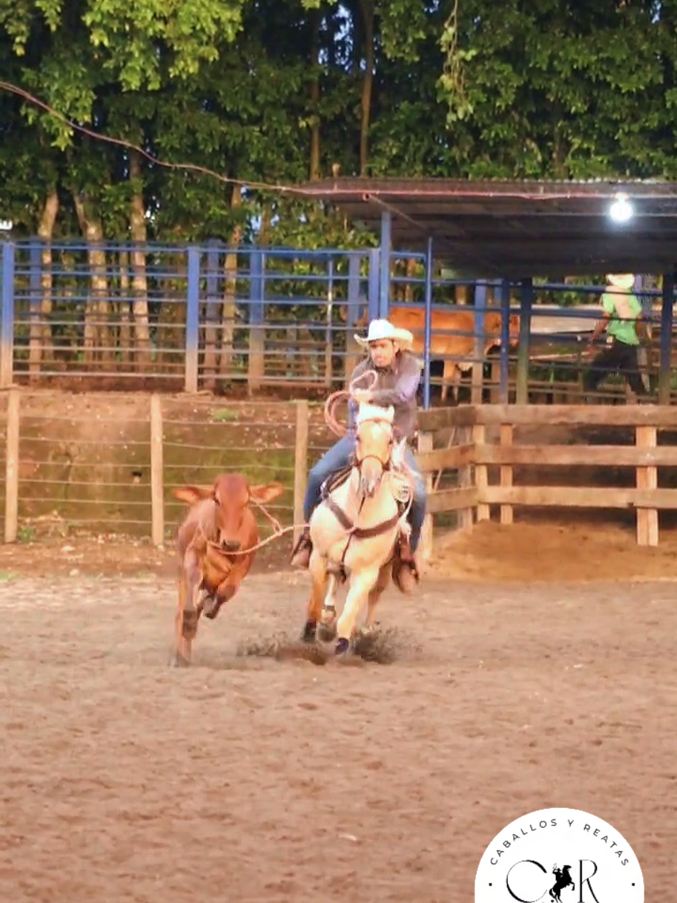 @Caballos y Reatas