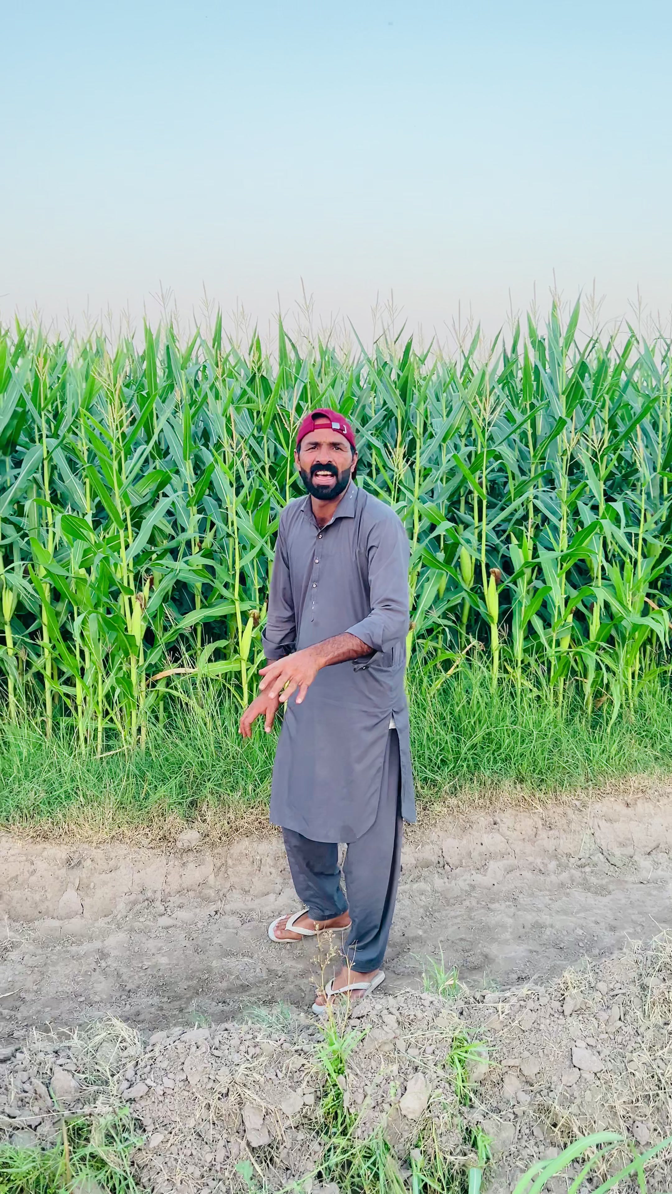 @SUNNY JAPPA