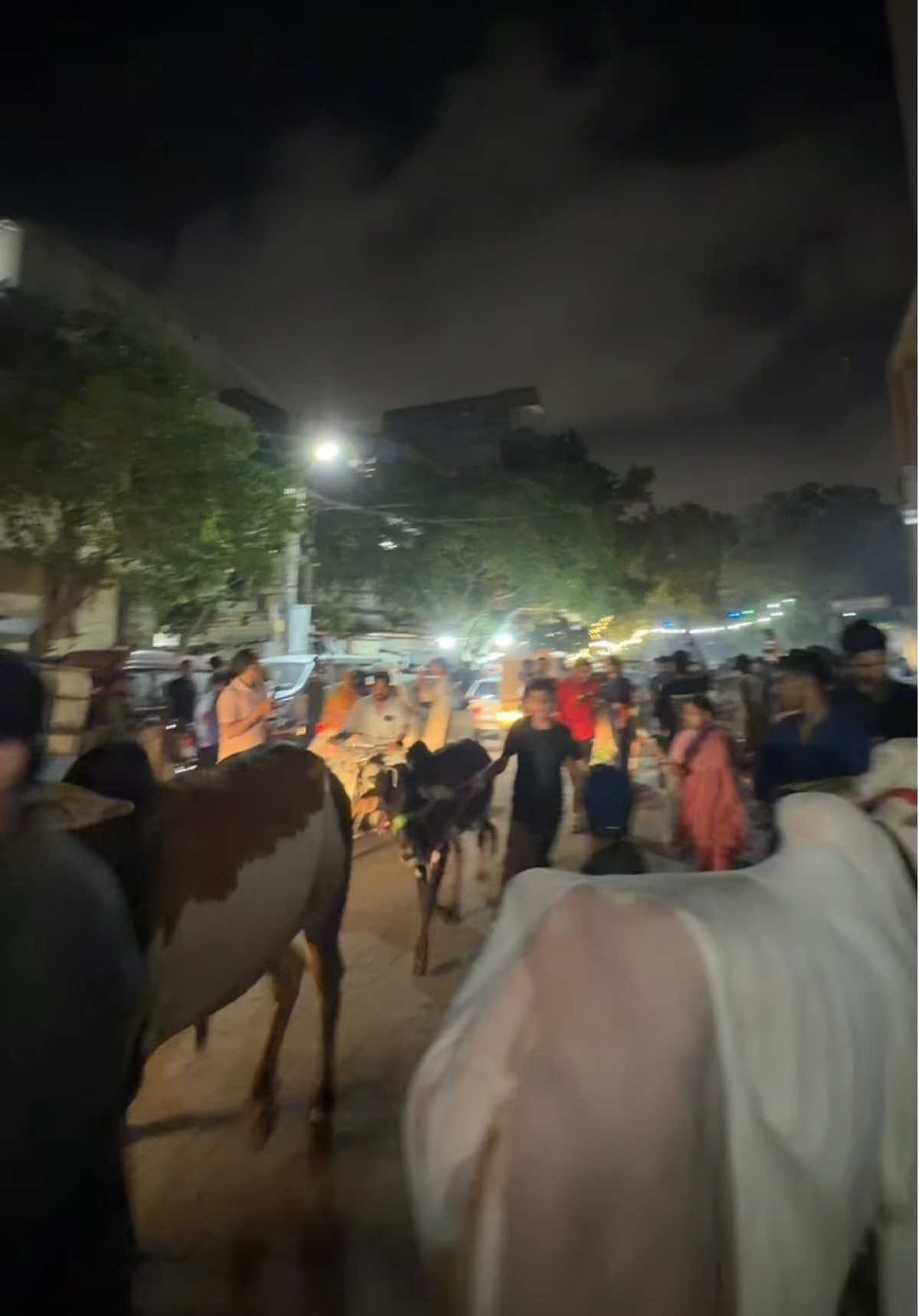@Ayan Iqbal