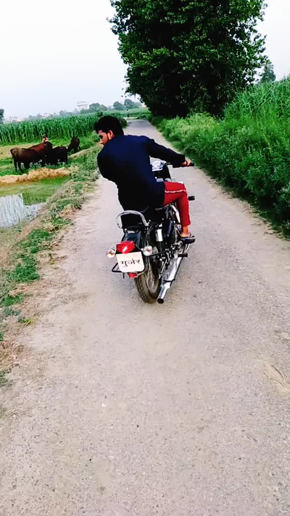 @Ankit Gujjar