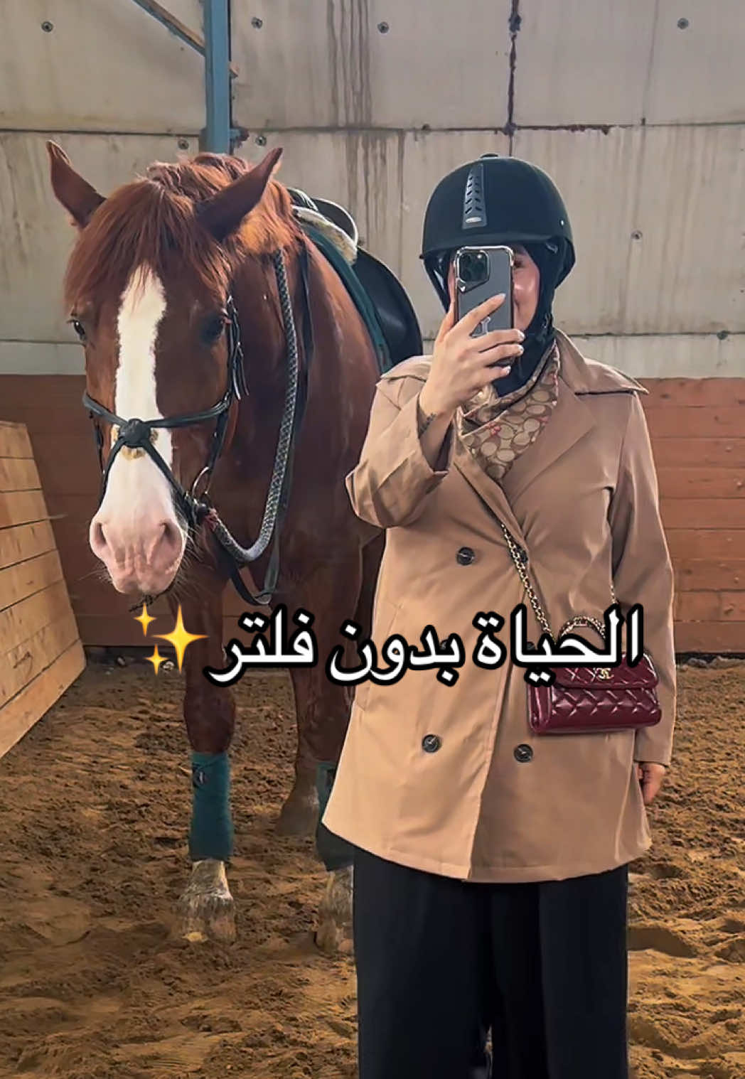 @Needa Alhabib