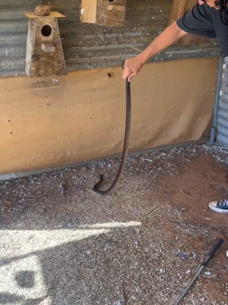 @SM Wildlife