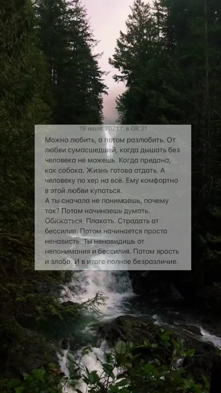 @masha