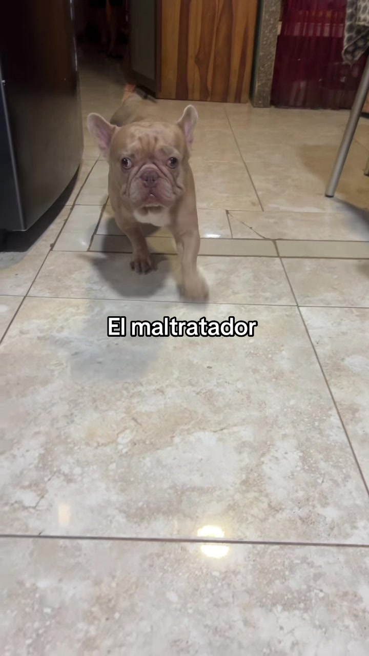@Rosalía guerrero 🧸