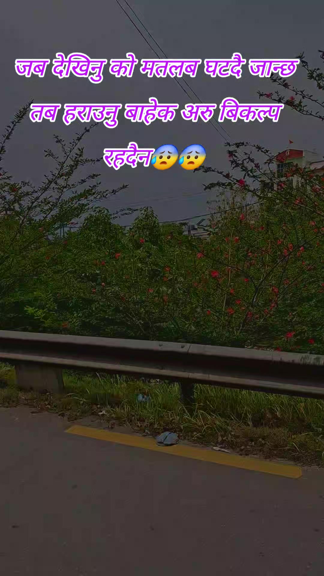 @lonely