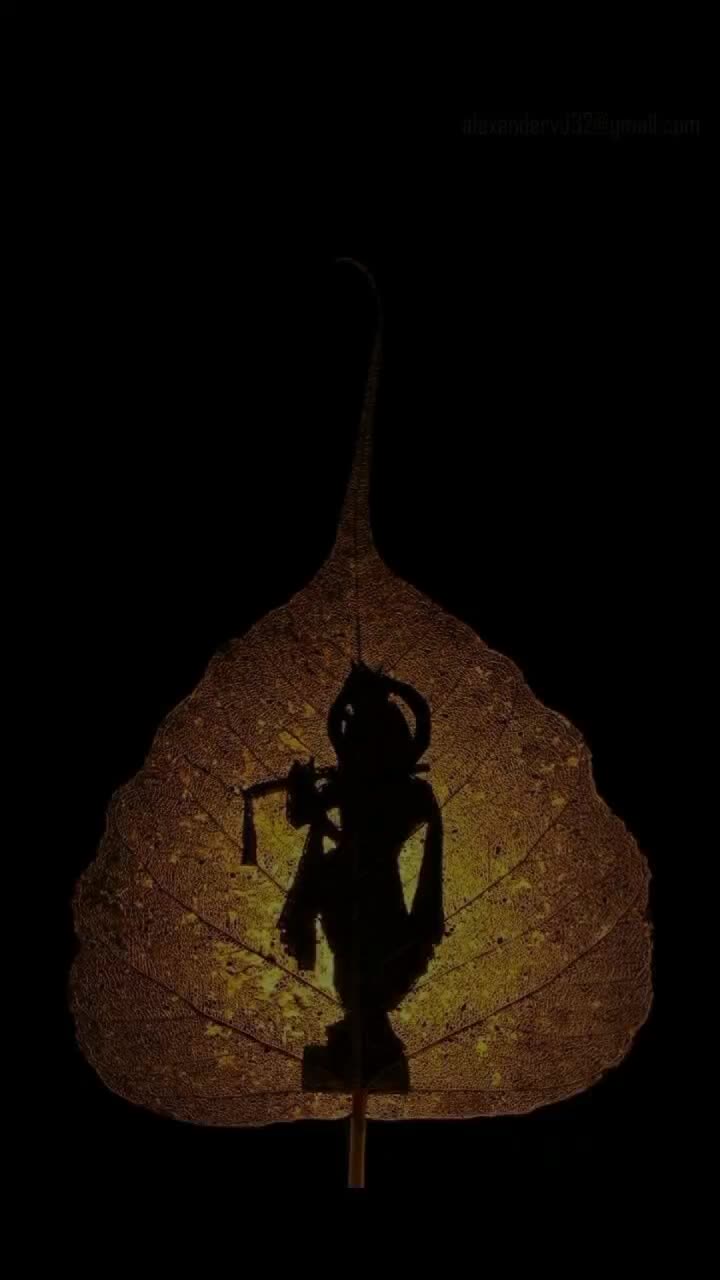 @Aastha Tripathi