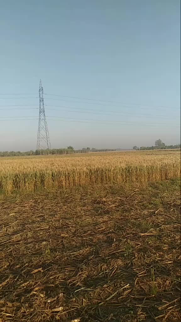@Sachin Gujjar