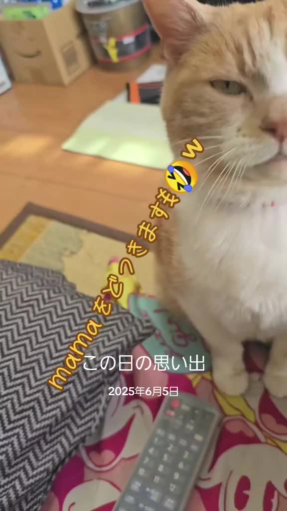 @🍮🍮🍒🏍&sup3;₃🏂🏐naomama