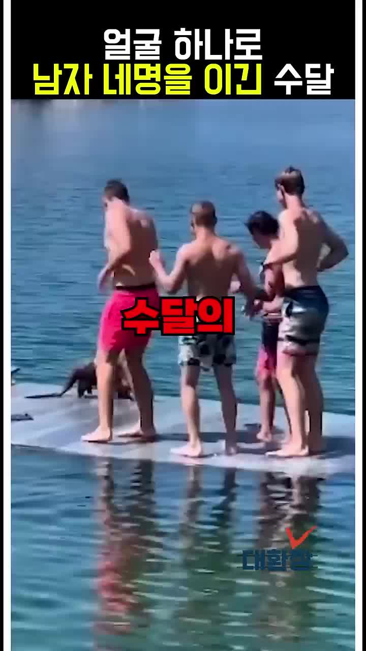 @잼나는 영상