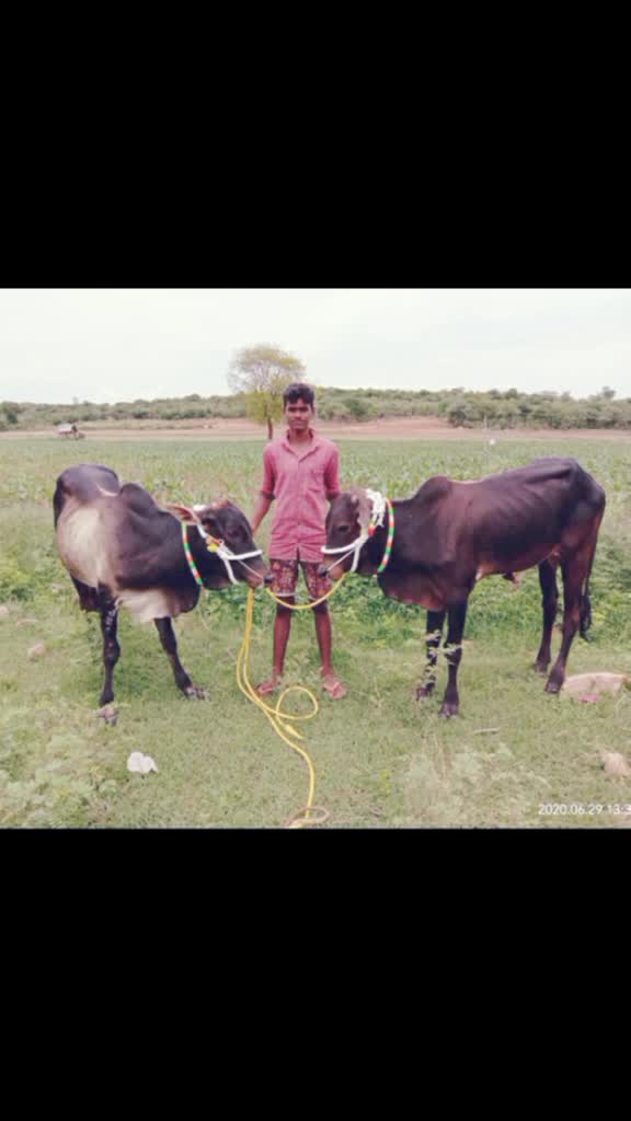 @Guru Pyaram