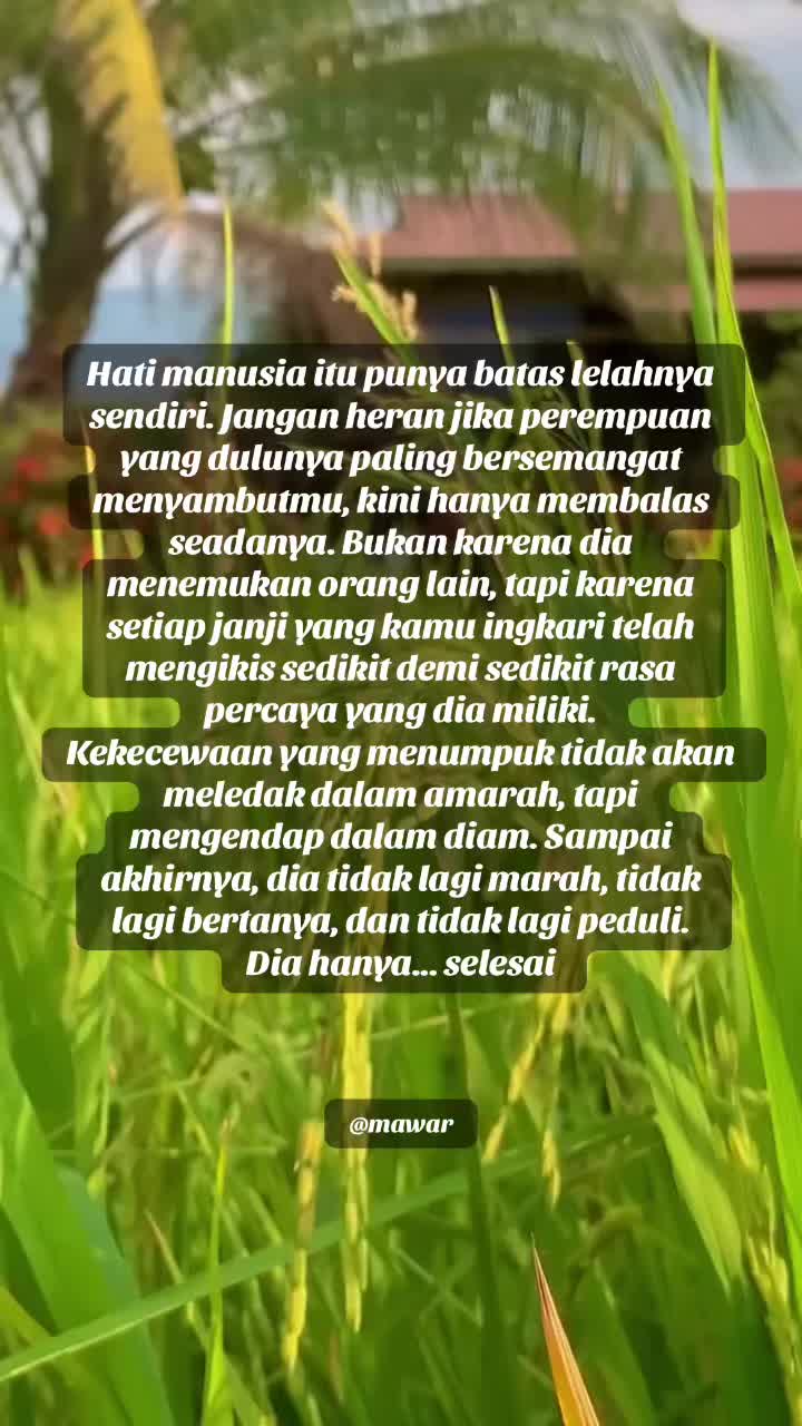 @Mawar
