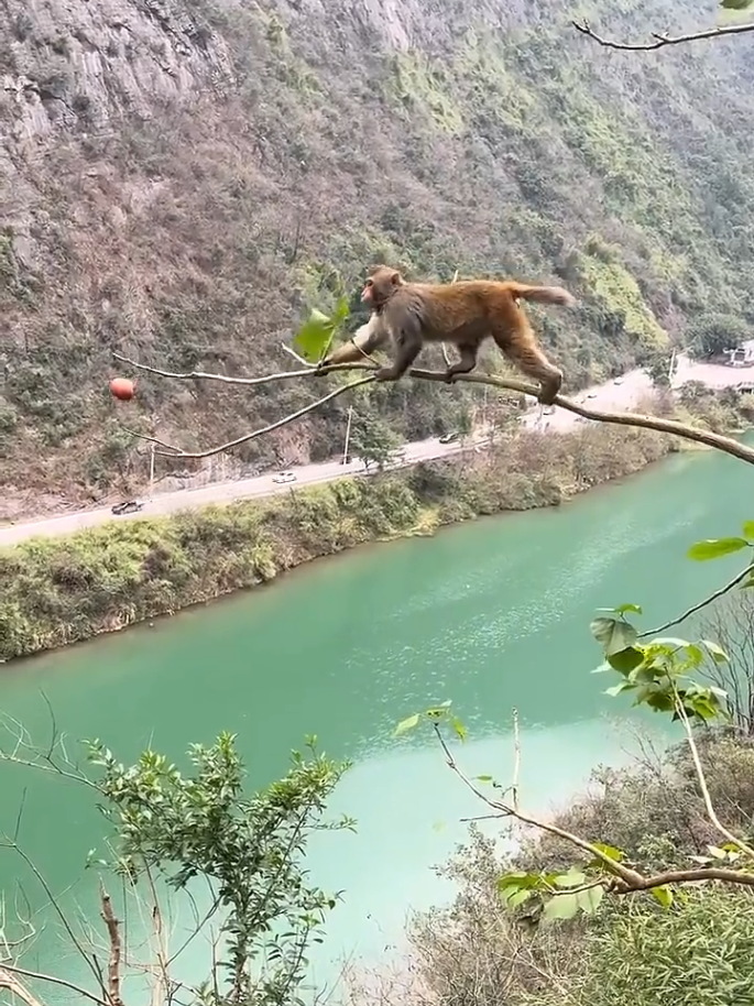 @👉 Oops 🤦♂️
