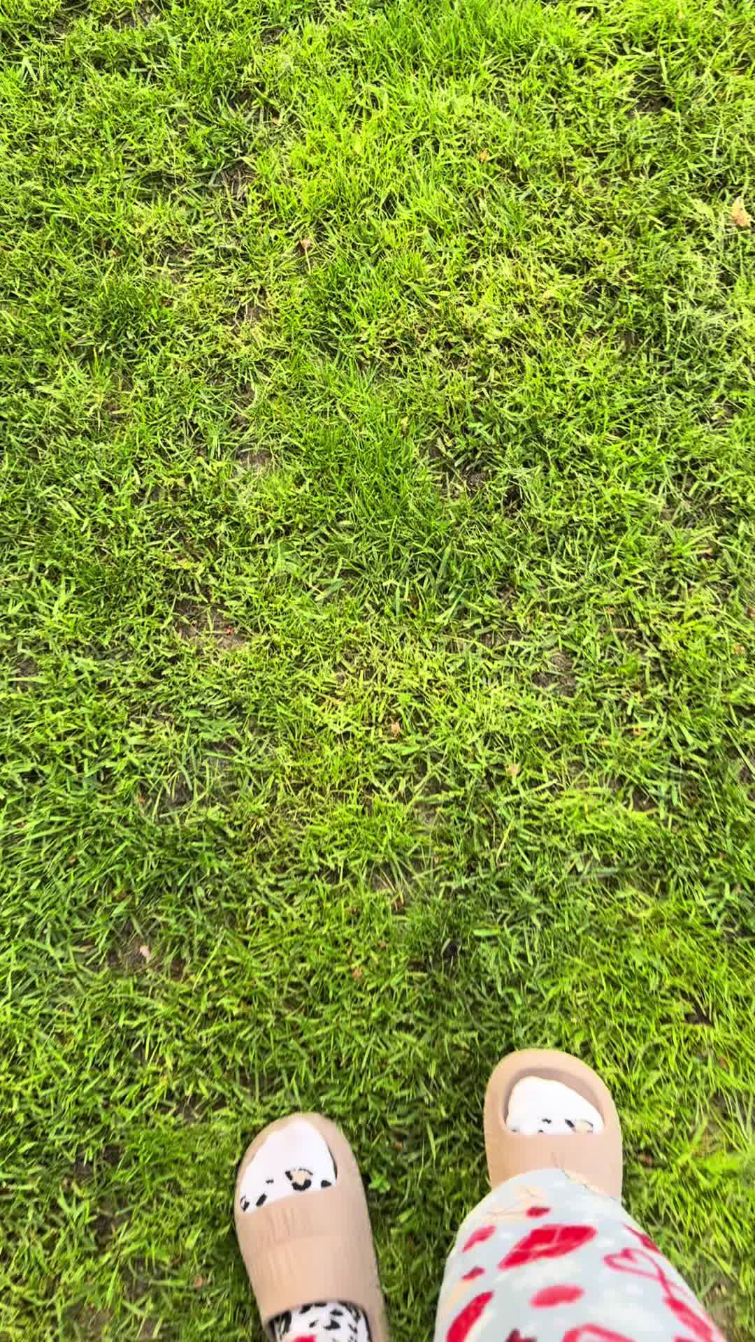 @Гарнюні чіхуахуа❤️
