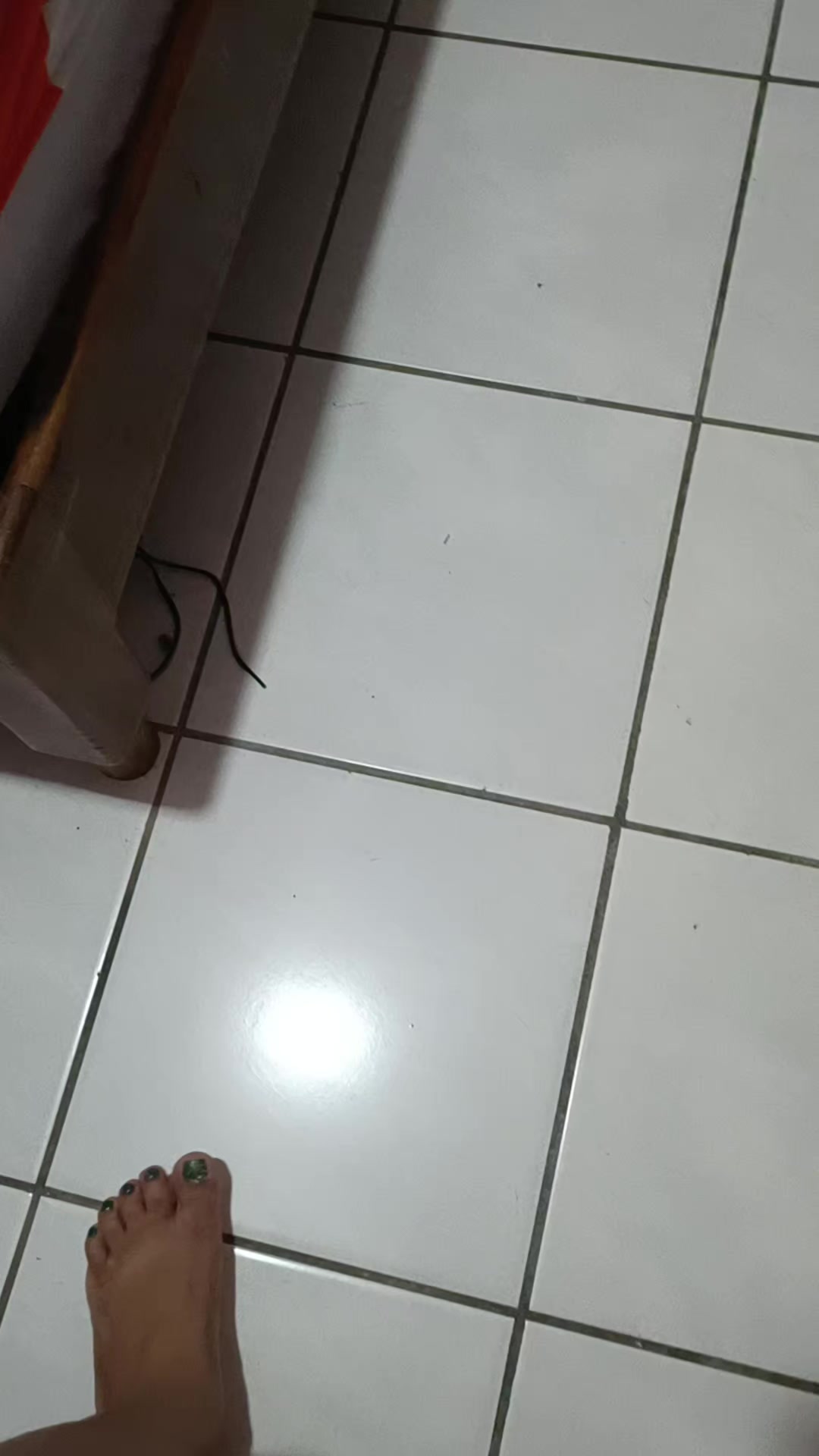 @negrita y peluche
