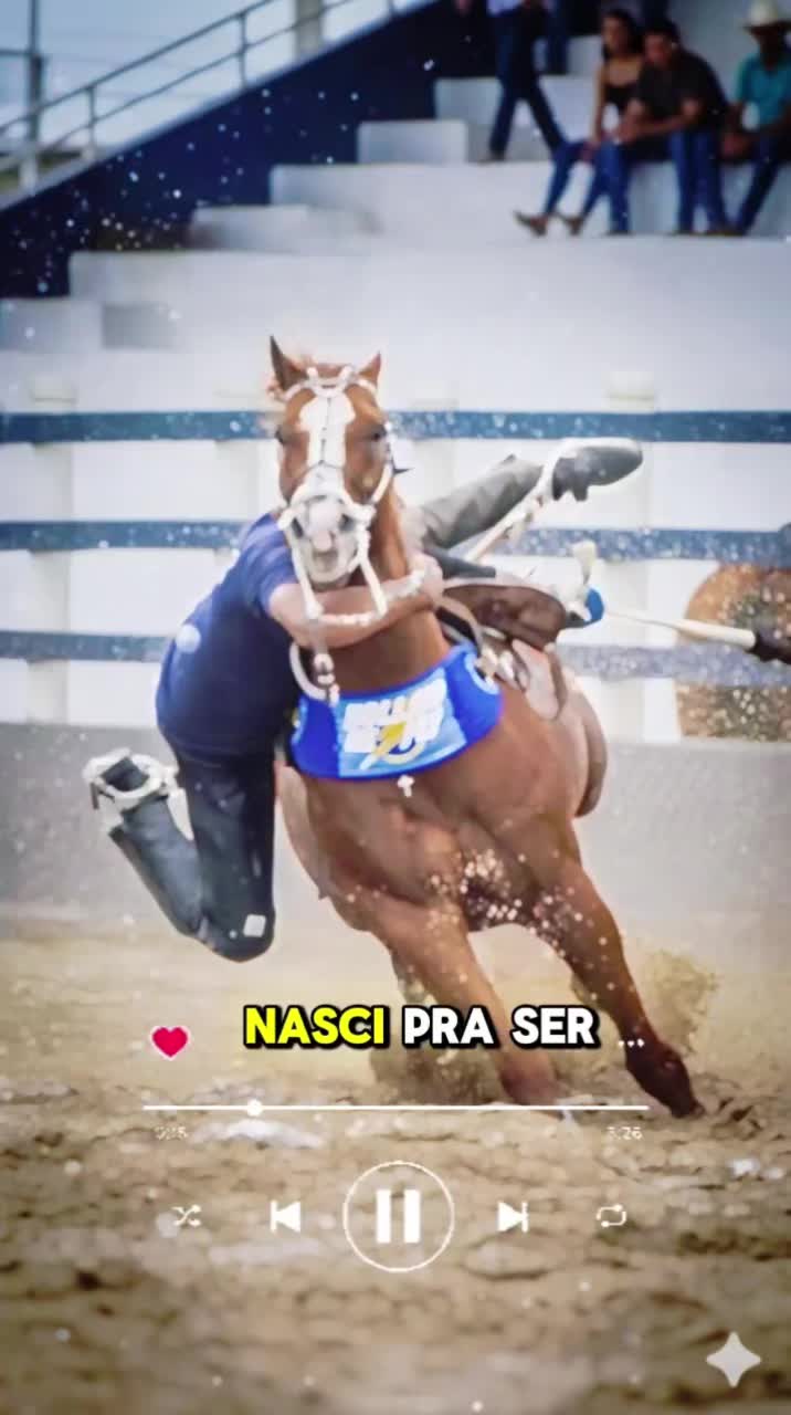 @Márcio greyck