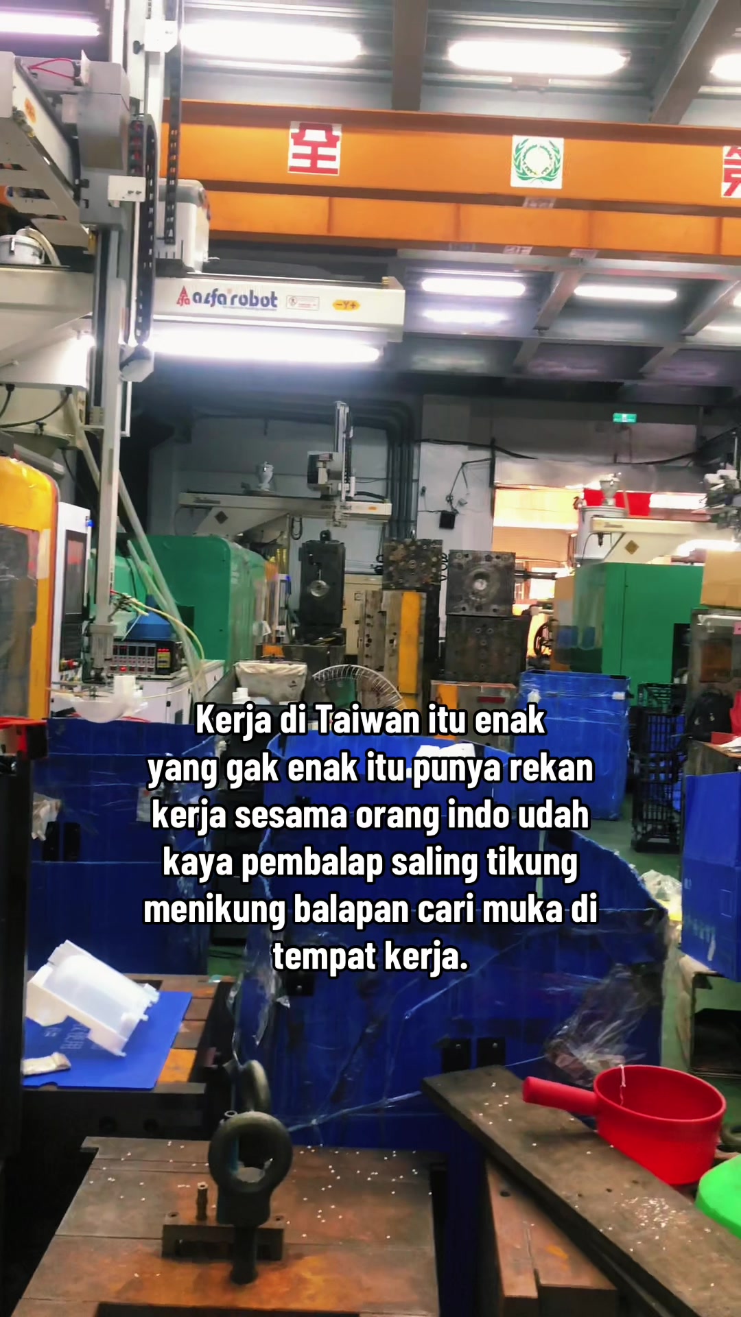@Plat E 🥭