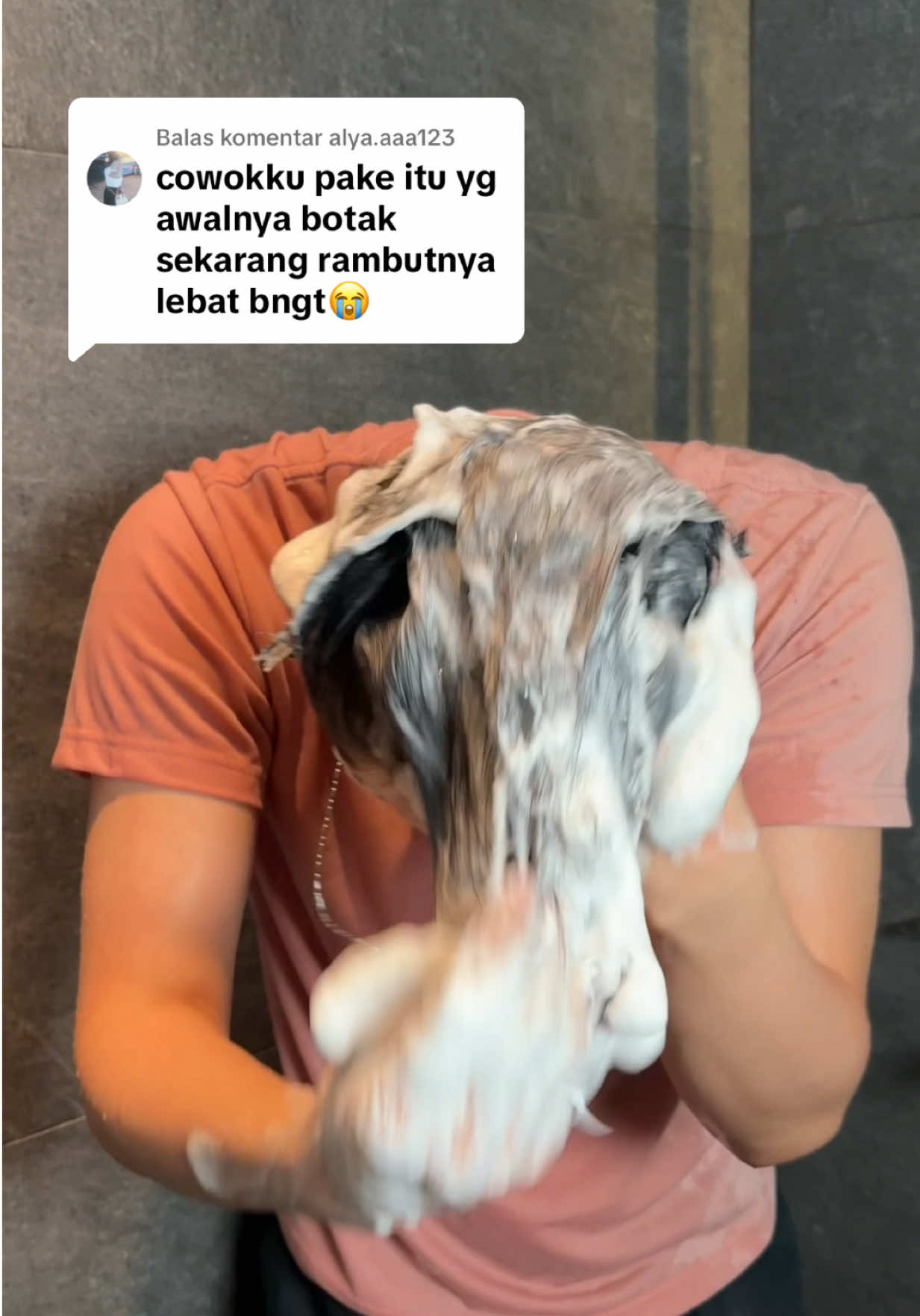 @MIF
