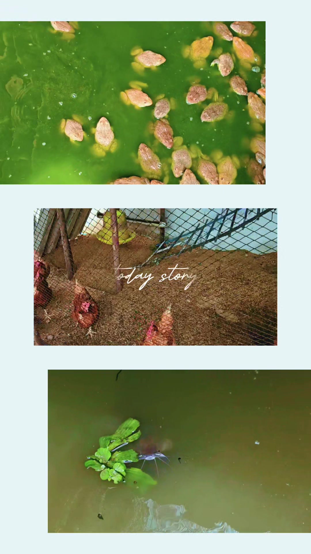 @Foon 🕊💚 Got7