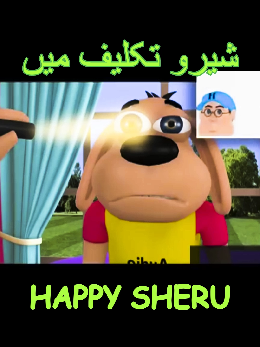 @Happy_Sheru_Official
