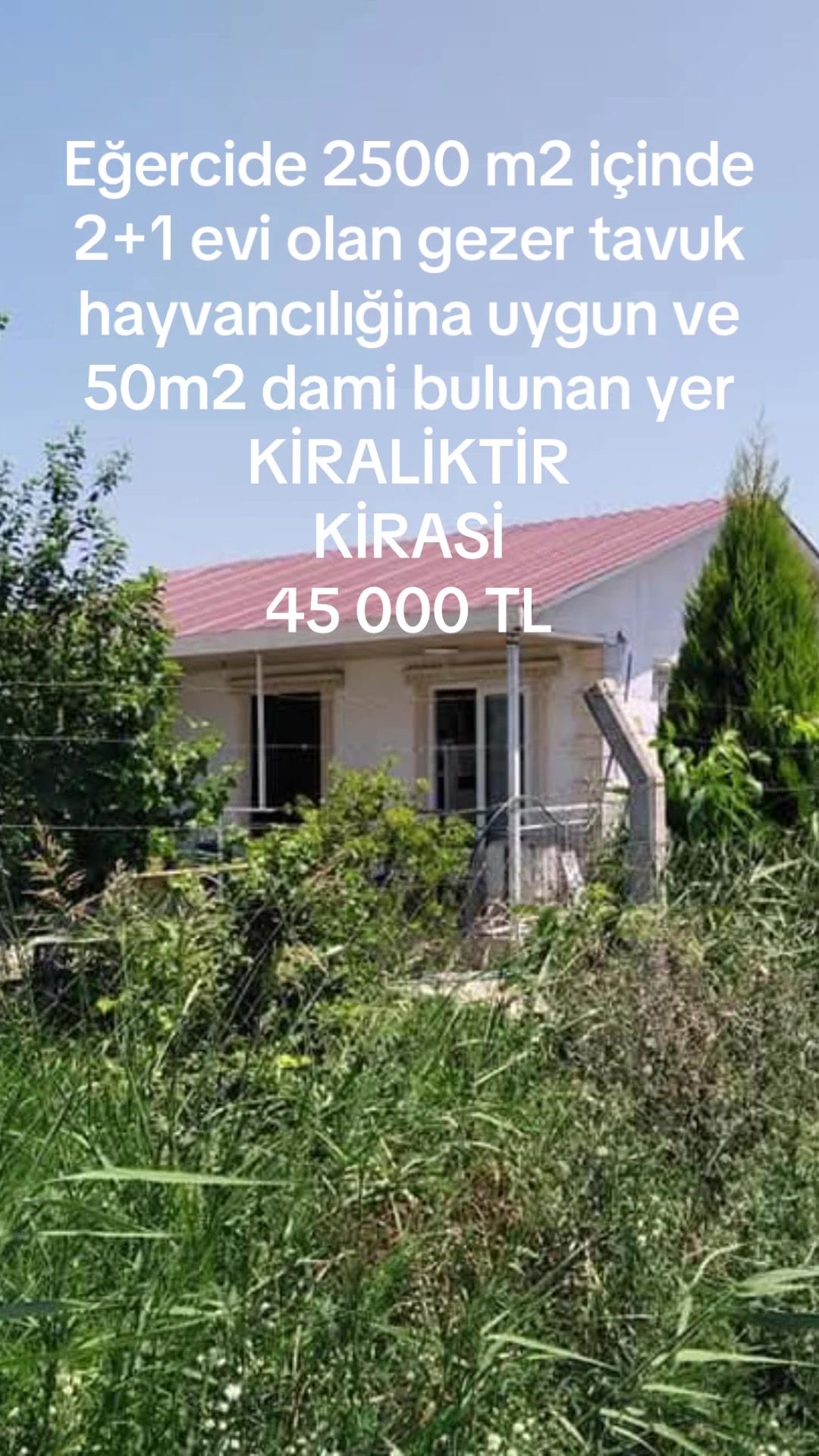 @Esra.polat.