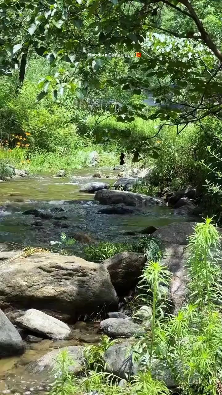 @Nandika Dananjaya