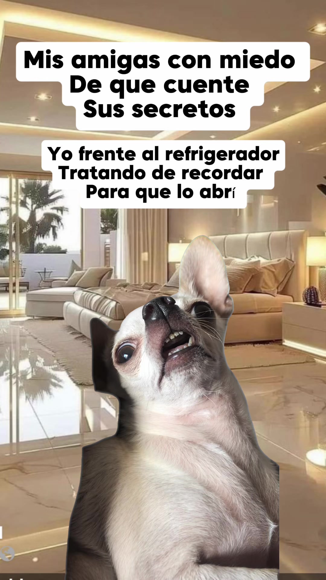 @Naensy