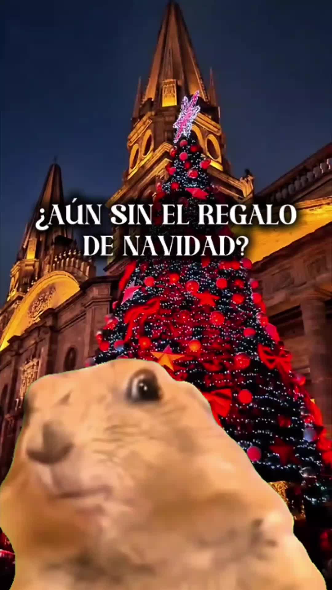 @Pannarama Guadalajara