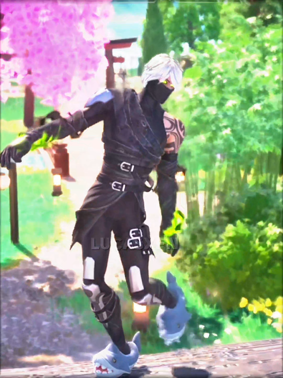 @LucasXFN