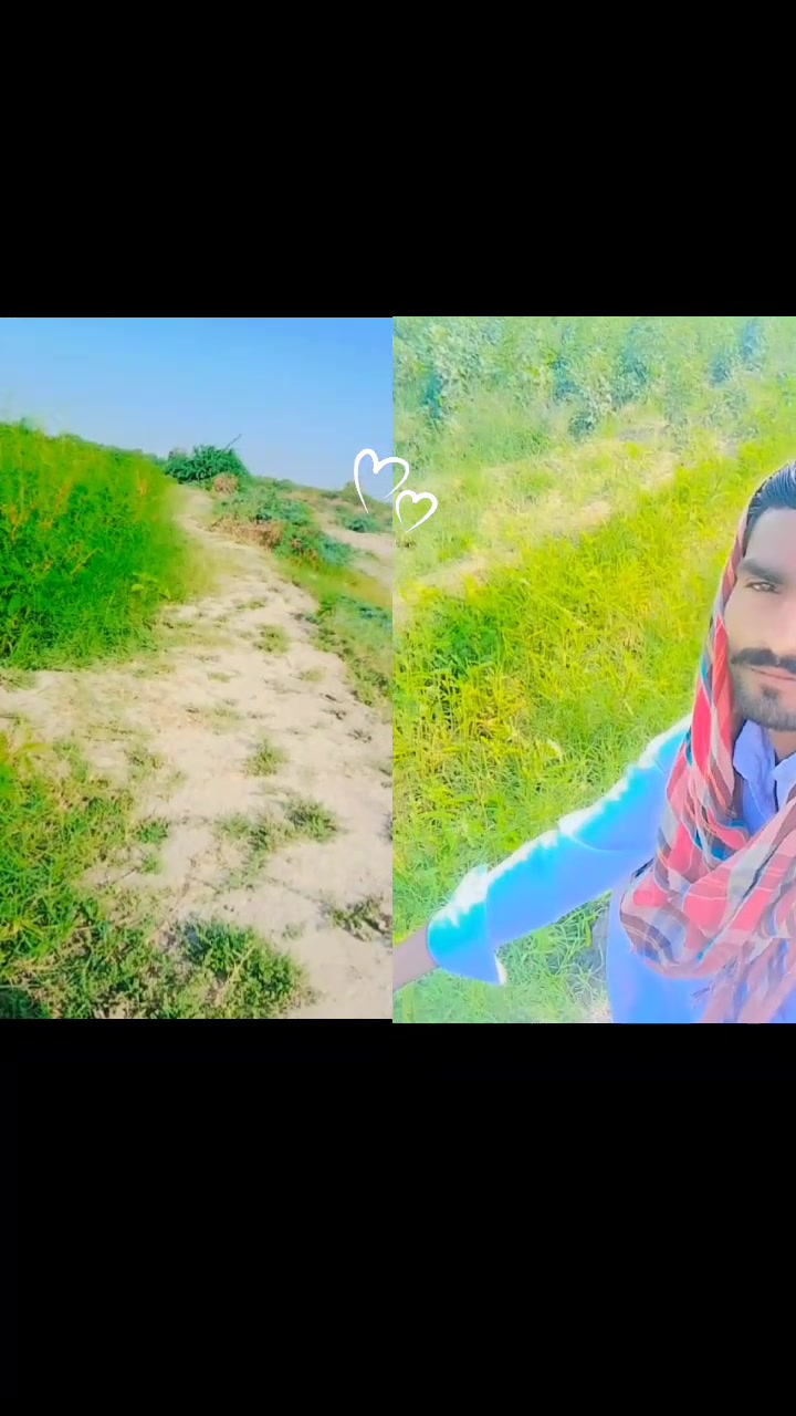 @jaykumar2940
