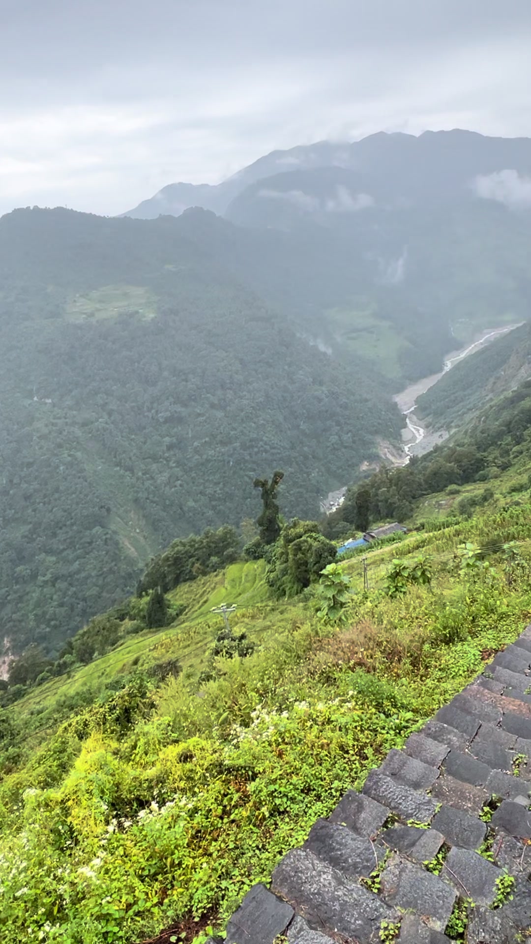 @Nepal Mountain Guides 🇳🇵